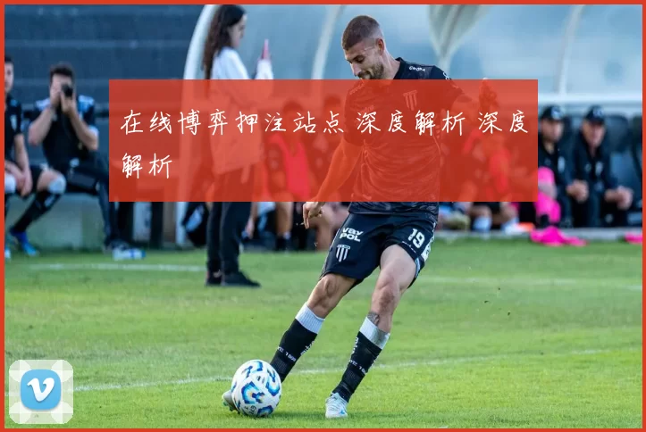 在线博弈押注站点 深度解析 深度解析