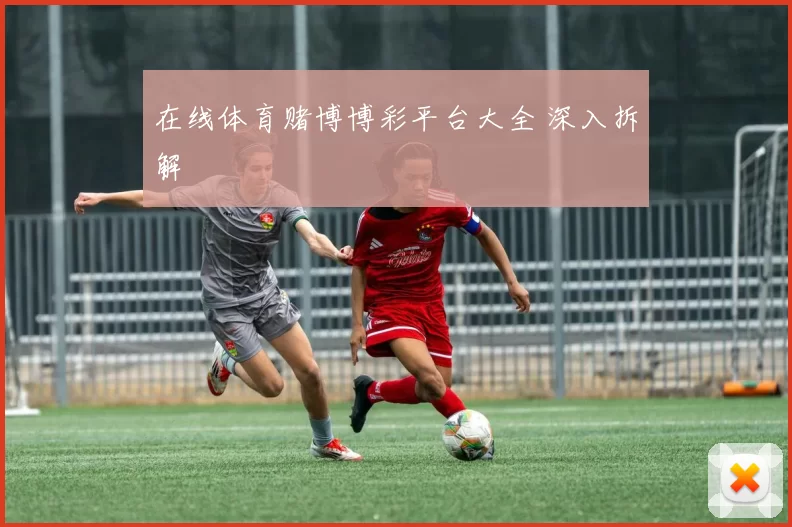 在线体育赌博博彩平台大全 深入拆解